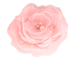 RR (79) (160x120, 21Kb)