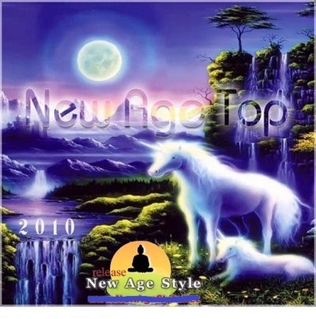 New Age Top 2010 (2011)