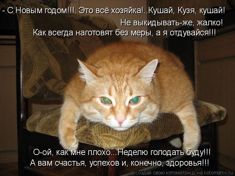 Картинки кот обормот